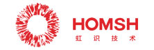 Wuhan Hongshi Technology