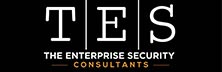 The Enterprise Security (TES) Consultants, LLC