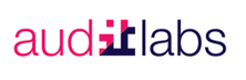 IT Audit Labs - Top Risk Management Services Companies IT Audit Labs