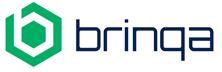 Brinqa - Top Vulnerability Management Solutions Companies Brinqa