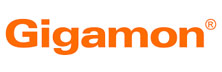Gigamon - Top Fortinet Solutions Companies Gigamon
