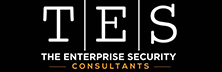 TES CONSULTANTS - Top Enterprise Security Startups Companies TES CONSULTANTS