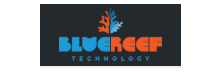 BlueReef - Top Enterprise Security Solution Companies in APAC BlueReef