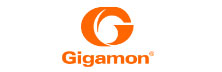 Gigamon - Top Enterprise Security Solution Providers in APAC Gigamon