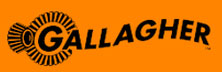 Gallagher - Security Assessment Solutions Companies Gallagher