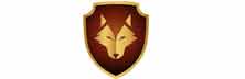 CYBERWOLFE - Top Cloud Security Services Companies CYBERWOLFE