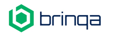 Brinqa - Top Risk Management Services Companies Brinqa