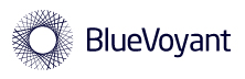 BlueVoyant