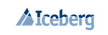 Iceberg - Top Risk Management Consulting/Service Companies Iceberg