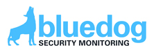 bluedog Security Monitoring - Top Enterprise Security Startups in UK bluedog Security Monitoring