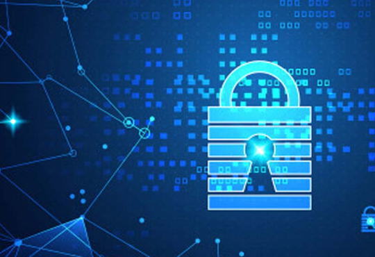 TrapX Security Releases TrapX Flex