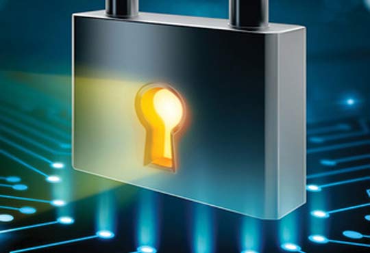 Why Website Security is Crucial for Your Organization?