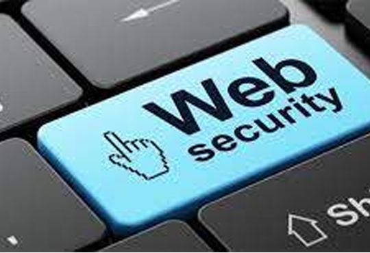 Why is Web Security Significant for Enterprises?
