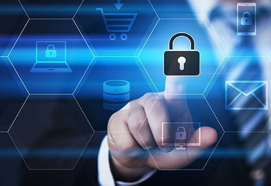 Coalescing Blockchain and ERP to Enhance Business Security