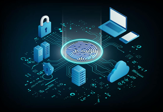 Sequoia Holdings LLC Collaborates with CERIAS