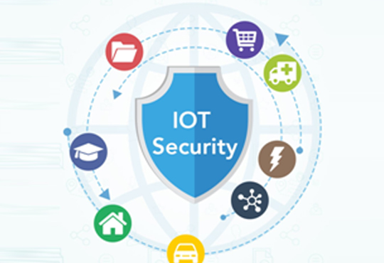 Can FPGAs Offer Robust IoT Security?