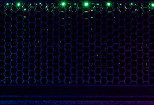 StorCentric Avails the QV1020 on the QV-Series Platform