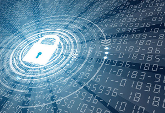 Factors Driving Employees as Cybersecurity Risks