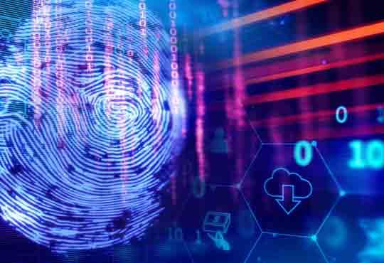 Network Security in the Age of Hybrid Employment