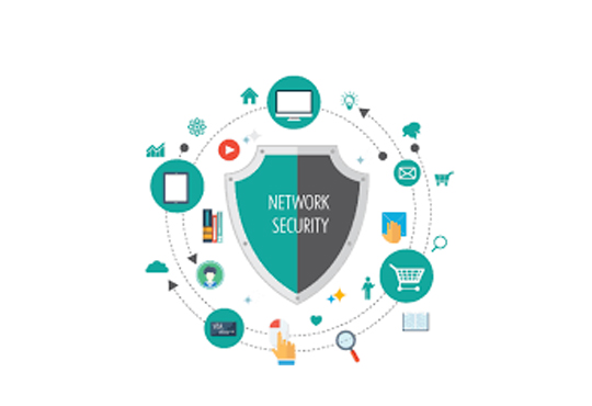 Can Security Networks Serve as An Advantage for a Startup?