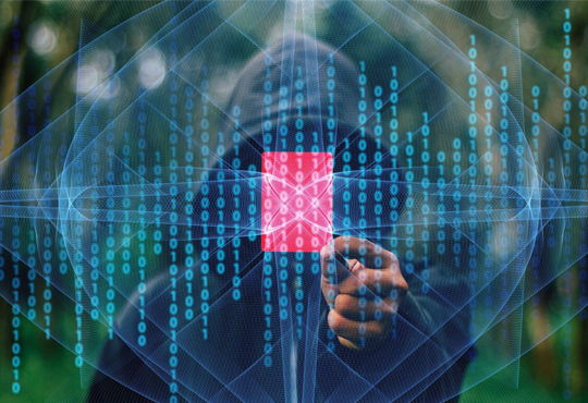 Cybersecurity: the Need of the Hour